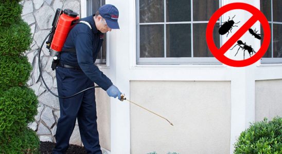 Eşme Bit İlaçlama böcek ilaçlama ve haşere kontrolü — ilaclama-tr.com